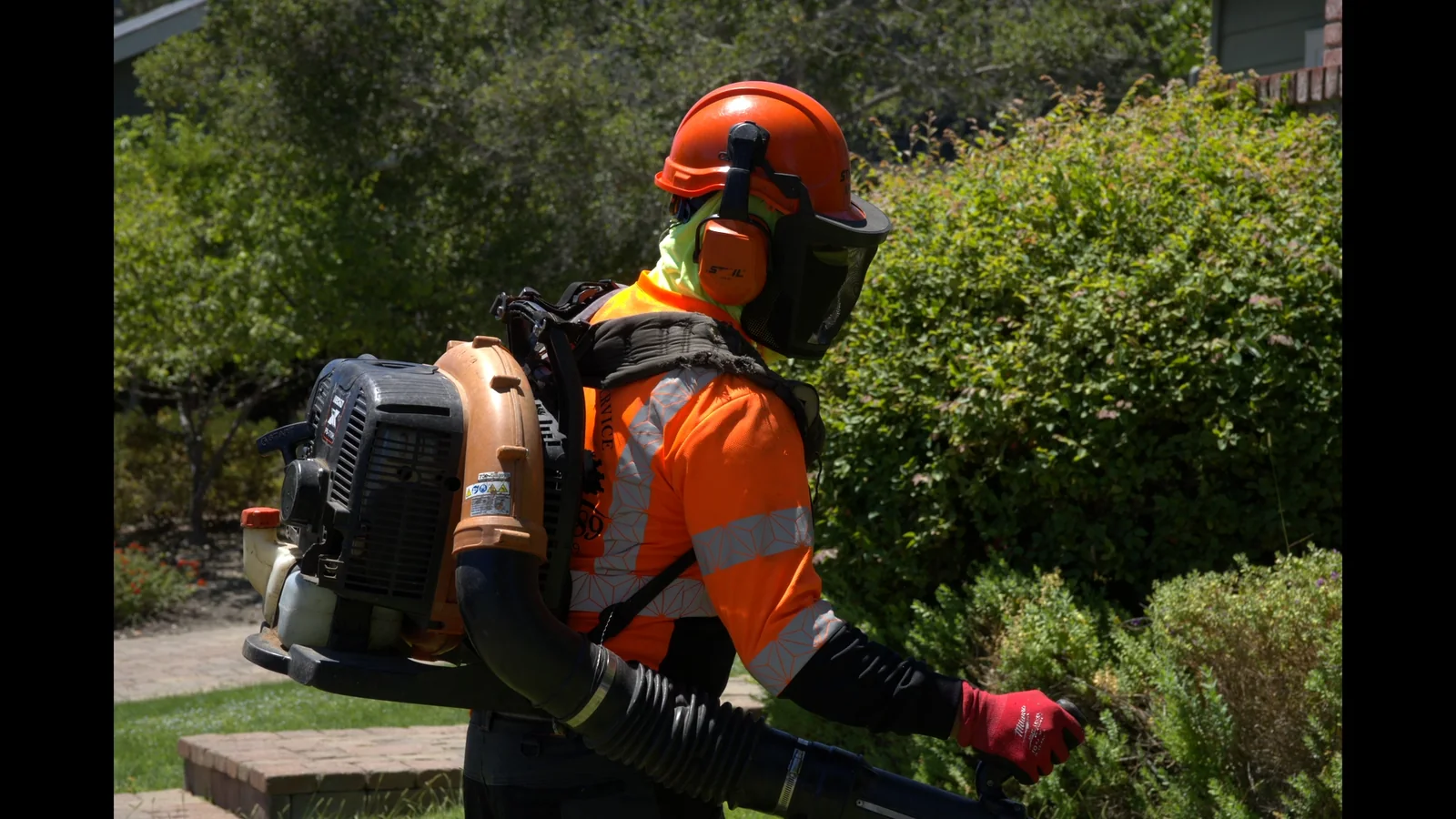 Zambrano crew member in full safety gear operating a backpack blower