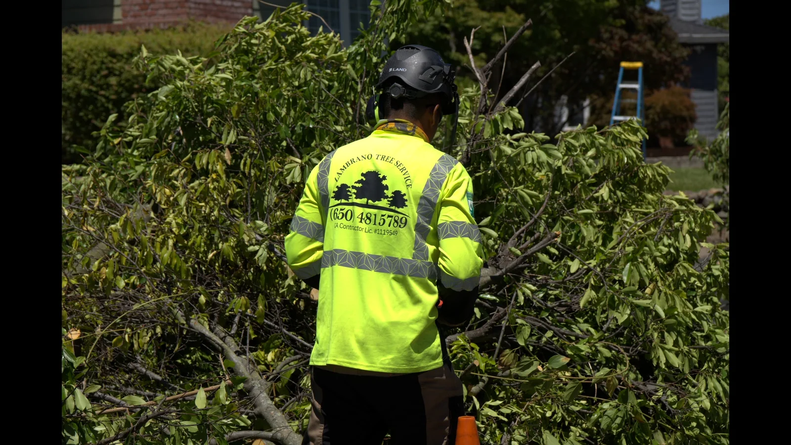 Zambrano arborist in full PPE clearing branches on a Peninsula property