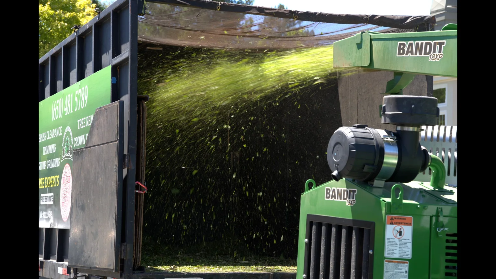 Wood chips flying from a Bandit chipper into a Zambrano dump truck